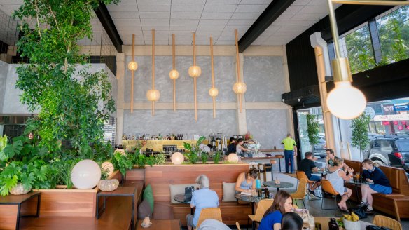 Abacus in South Yarra has an urban jungle feel.