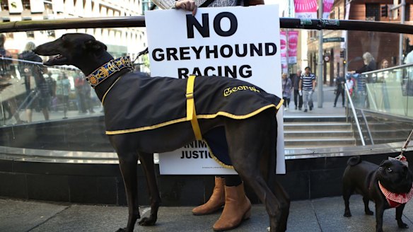 Protesters gather in Martin Place to call for an end to greyhound racing
