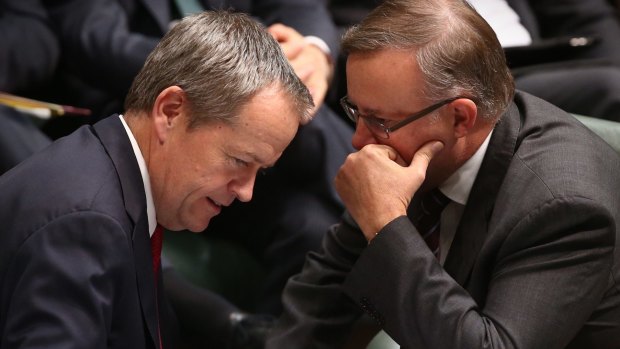 Anthony Albanese with Opposition Leader Bill Shorten in Parliament House in May.