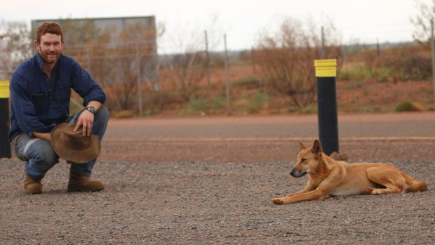 Dr Thomas Newsome, ecologist at Deakin University and the University of Sydney, with a dingo.