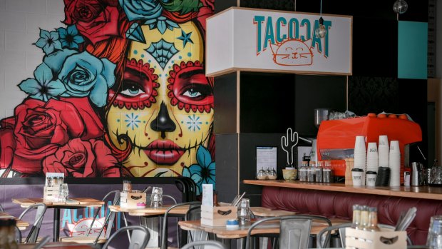 Tacocat restaurant in Windsor.