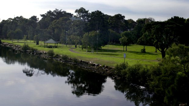 As many as 1000 trees along the Cooks River are being assessed for potential removal by energy companies.