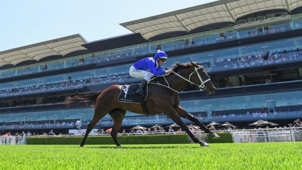 Winx flashes past the Randwick grandstand.