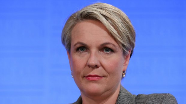 Tanya Plibersek says the Greens of being on the search for 'righteous indignation'.