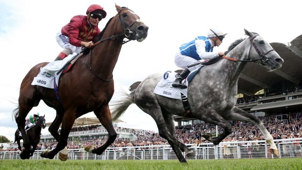Arod (left) is second to Solow in the Sussex Stakes at Goodwood Racecourse.