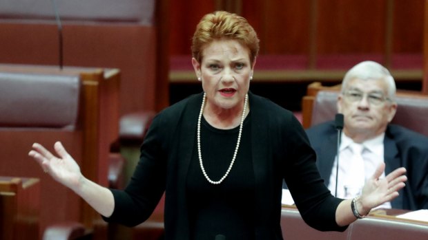Pauline Hanson showed her enthusiasm for Russian leader Vladimir Putin and her disdain for Muslims and the "no jab, no pay" scheme on the ABC's <i>Insiders</i>. 
