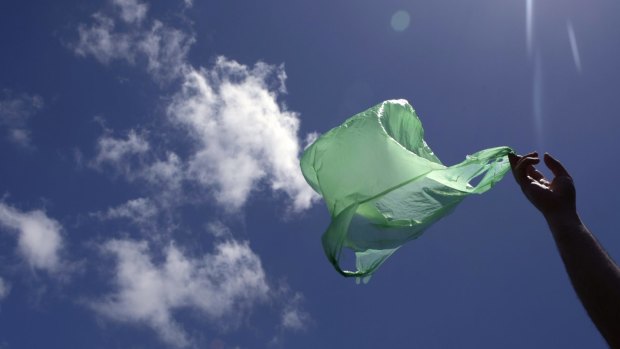East Fremantle council could soon wave goodbye to plastic bags.