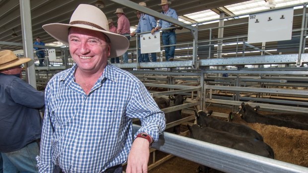 Barnaby Joyce at the Tamworth Regional Livestock Exchange on Monday. 