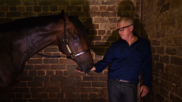 Tarzino with trainer Mick Price (right) at the Randwick High street stables, Sydney.