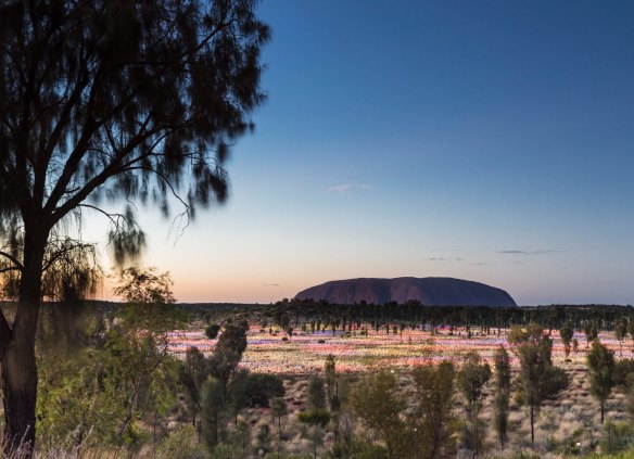 Dine under the stars at Uluru with Tali Wiru's A Night at Field of Light.