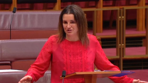 A tearful Jacqui Lambie attacks cuts to welfare in the Senate on Wednesday night.