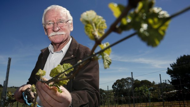 Murrumbateman winemaker Ken Helm said backpackers were not going to come if they were going to be taxed at 32 per cent.