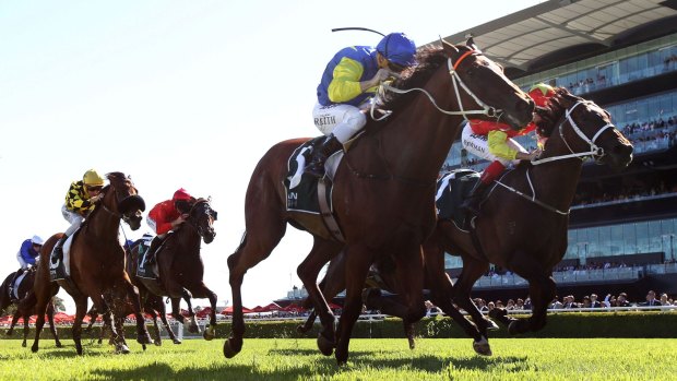 Surprise packet: Le Romain (blue and yellow) scores a massive upset in the Randwick Guineas.