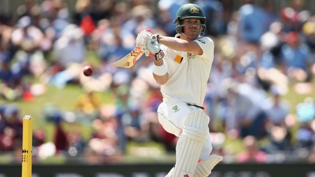 Motivation galore: The chance to return to the top of the Test tree is driving David Warner and the Australian team.