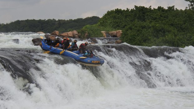 The thunderous rapids of the White Nile.