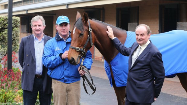Track concerns: The Godolphin stable tried to scratch Mogador from the Healy Stakes on Saturday. 