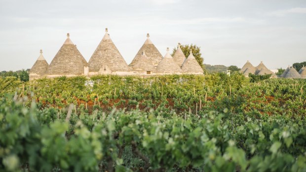 Alberobello, home of the trulli, traditional Apulian dry stone huts with conical roofs.