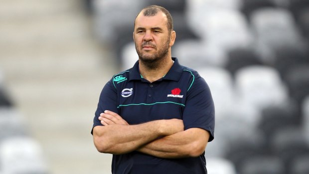 Michael Cheika will team up with Stephen Larkham for the Wallabies' World Cup campaign.