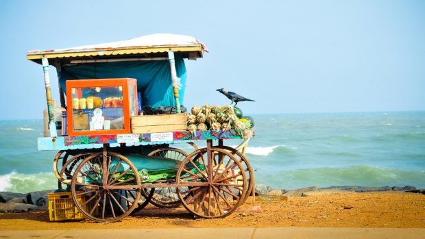 A beach-side trader's cart in Tamil Nadu.