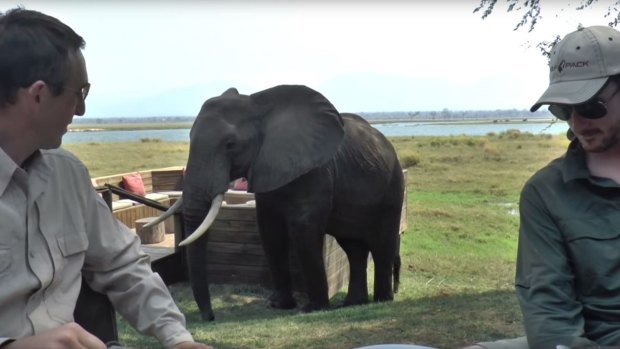 Stephen Montague (left) and his brother-in-law Shane Wolf as the elephant approaches.