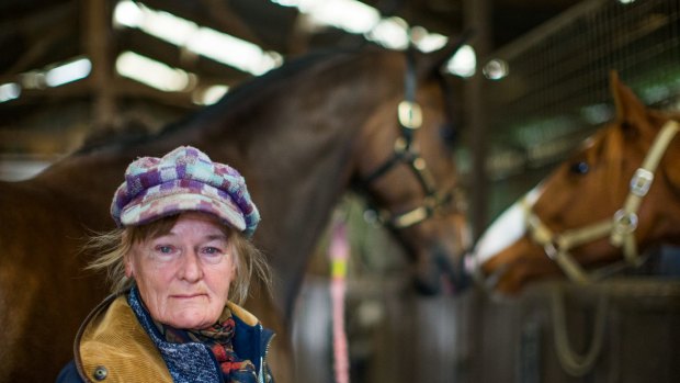 Hard graft, but what would I do without my horses, says Clarke, 70, detailing her 37 years of success in the tough racing industry.