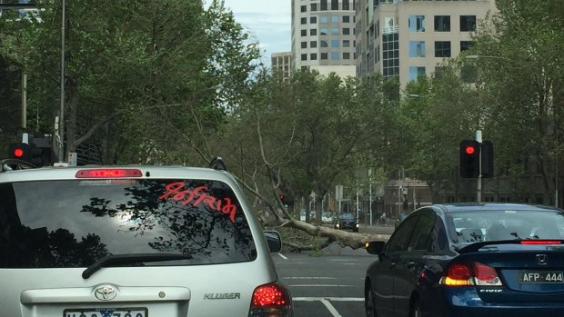 A fallen tree blocks King Street in Melbourne on Sunday.