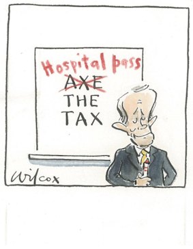 Illustration: Cathy Wilcox