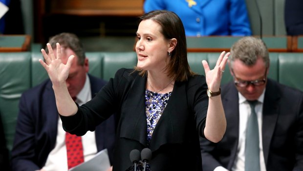 Finance Minister Kelly O'Dwyer will announce measures to give better protection to whistleblowers. 