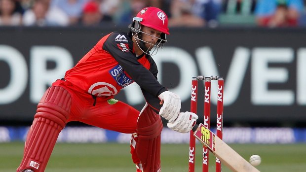 World Cup goal: Matthew Wade bats last weekend in the BBL. He has his sights set on playing for Australia at the 2019 World Cup.