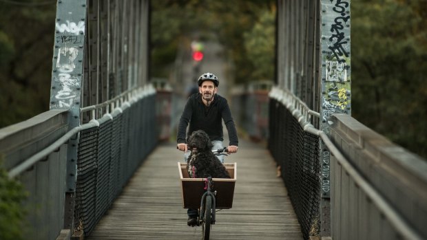 A cyclist and his canine companion on the Walmer Street bridge in Abbotsford.