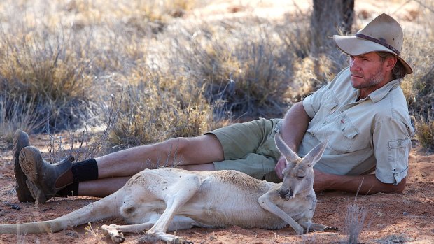 Chris "Brolga" Barnes lies next to a resting female kangaroo. 