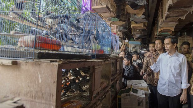 Indonesian President Joko Widodo, seen  here on a visit to a Jakarta bird market on Saturday, is said to be reconsidering his views on the death penalty.