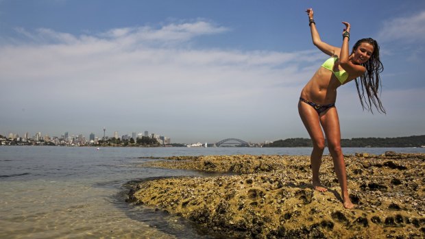 Between a rock and hot place: Sydney set to bake as the mercury heads beyond 40 degrees.