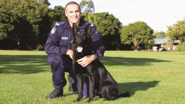 Police Dog Ox with handler Senior Constable Ben Miles.