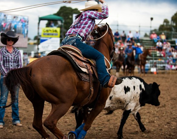 Top horsemanship and spills thrill crowd at 2016 Queanbeyan Rodeo