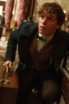 Sequel announced ... Eddie Redmayne in <i>Fantastic Beasts and Where to Find Them</i>.