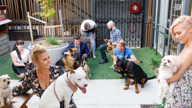 'Dating with Dogs' will be held at Capital Brewery in Fyshwick. 