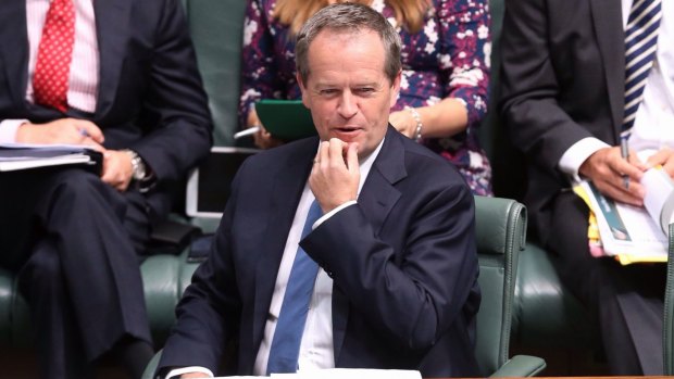 Opposition Leader Bill Shorten is calling for a national crisis summit on domestic violence.