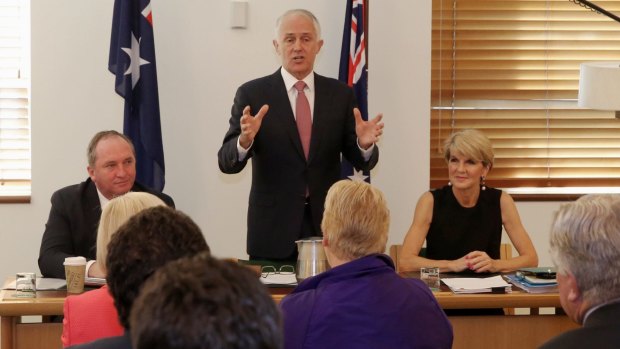 Prime Minister Malcolm Turnbull, pictured addressing the joint party room in November, will attempt to find a middle way. 