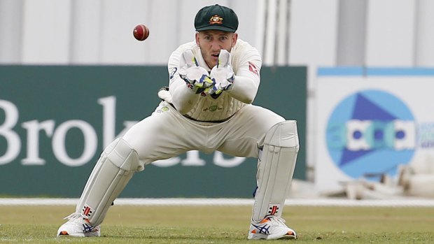 Eyes on the prize: Peter Nevill keeps wicket against Derbyshire.