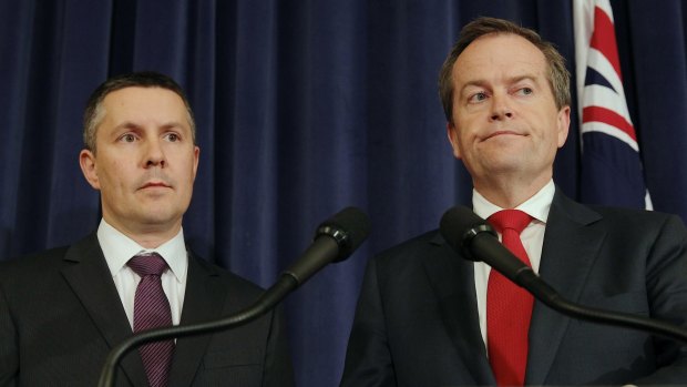 Labor's environment spokesman Mark Butler has called the latest figures a disgrace.