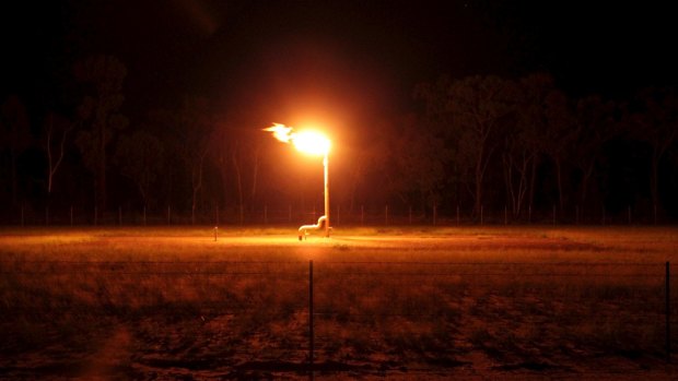 Flaring at the Narrabri gas project in the Pilliga.