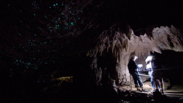 Glow-worms create a ceiling ot stars underground at Waitomo Caves.
