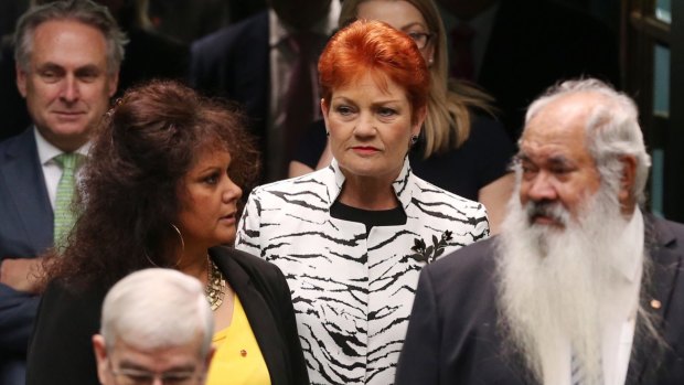 Pauline Hanson enters the House of Representatives with fellow senators last month.