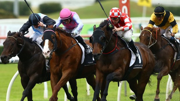 Tough track: Tye Angland (red cap) rides That's A Good Idea to win The Wilson Asset Management Handicap at Randwick. 