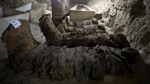 A number of mummies inside the newly discovered burial site in Minya, Egypt, on Saturday.