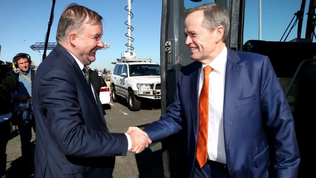 Labor frontbencher Anthony Albanese will move the motion congratulating leader Bill Shorten at Friday's caucus meeting in Canberra.