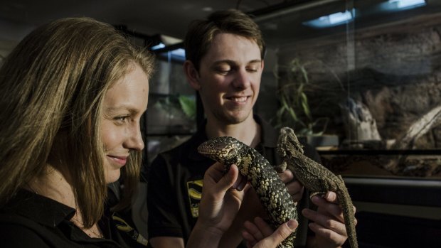 Emma and Luke Dunn have started Canberra's first licenced snake and reptile removal and relocation service.
