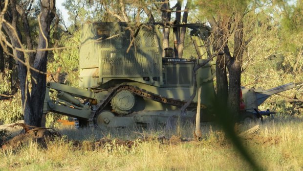 A camouflaged bulldozer used to clear land near Walgett.