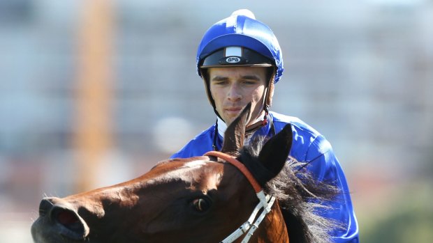 Back together: Hoop Sam Clipperton will team up with trainer Ron Quinton.